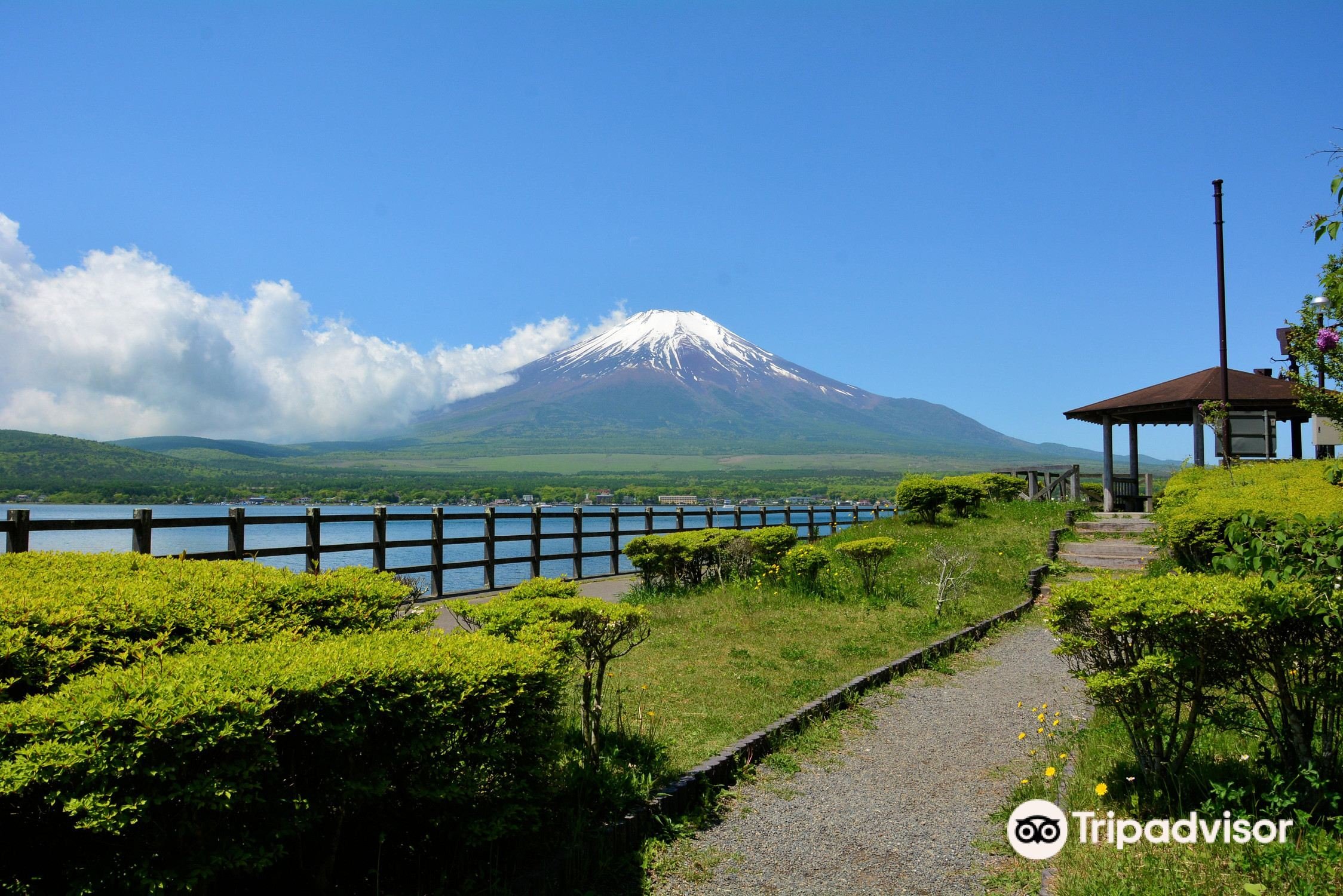 🌳 긴 연못 공원(나가이케 코엔) 이미지 5